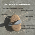 Load image into Gallery viewer, BEETOX Dry Body Brush